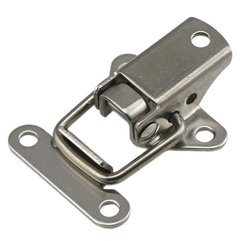 1/4 Stuks Rvs Mini Gesp Kastde - Furniture Hardware Accessories recensie en prijs