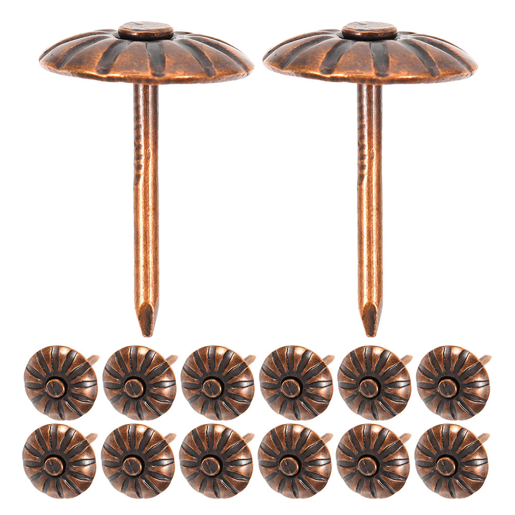 200 stuks decoratieve spijkers - Furniture Upholstery Hardware recensie en prijs